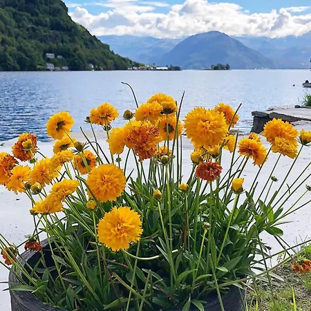 Vakantiehuis 6 Person In